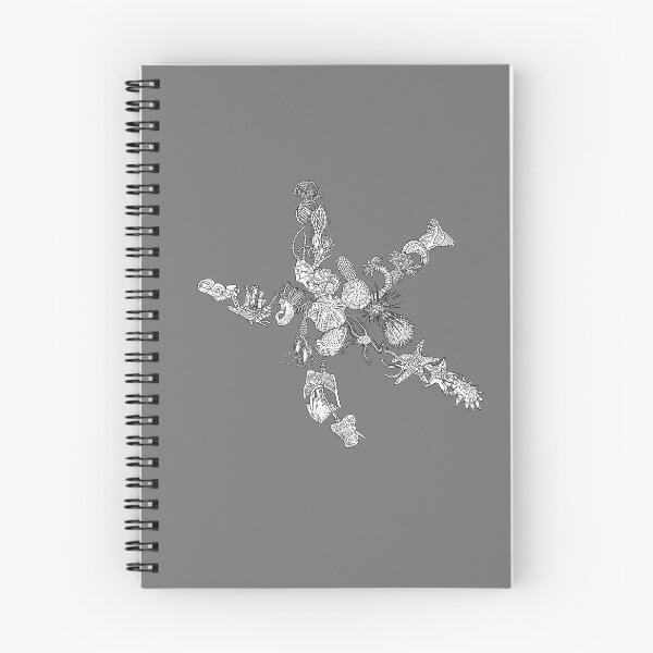 Item preview, Ambulacraria - Echinodermata - Starfish - Evolution  designed and sold by EvolutionPoster.