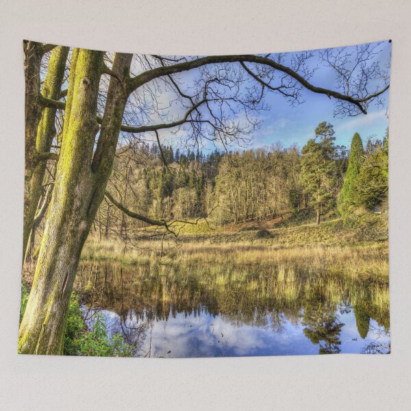 Item preview, Lake District England Vista designed and sold by Londonimages.