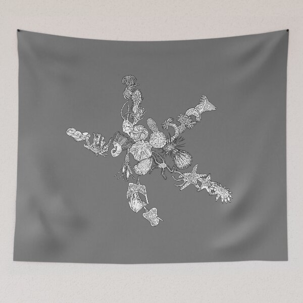 Item preview, Ambulacraria - Echinodermata - Starfish - Evolution  designed and sold by EvolutionPoster.