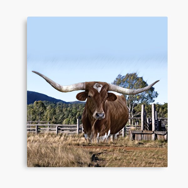 Item preview, LONGHORN CATTLE, IN ART FORM designed and sold by Barbara Jean Photo Art And Design.