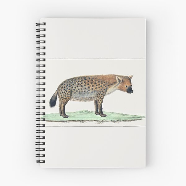 Item preview, Vintage Hyena Illustration art designed and sold by Vintage Designs +.