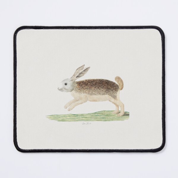 Item preview, Cute Vintage illustration of a Bunny Rabbit designed and sold by Vintage Designs +.