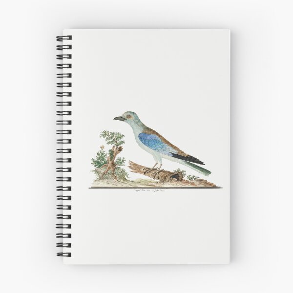 Item preview, African Blue Bird Vintage illustration art designed and sold by Vintage Designs +.