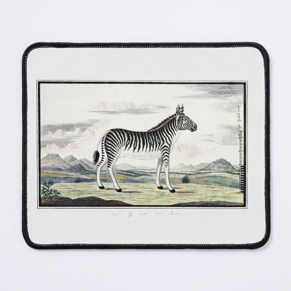 Item preview, Zebra African wildlife vintage illustration art designed and sold by Vintage Designs +.