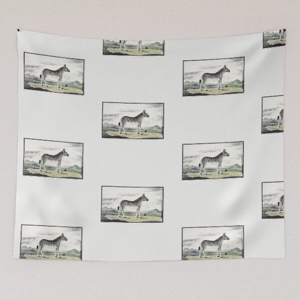 Item preview, Zebra African wildlife vintage illustration art designed and sold by Vintage Designs +.