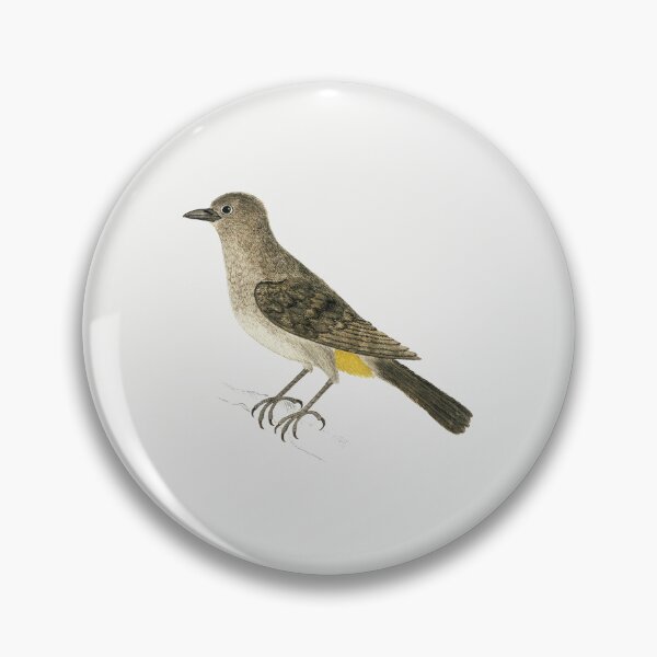 Item preview, Cute Yellow African Bird vintage illustration art designed and sold by Vintage Designs +.