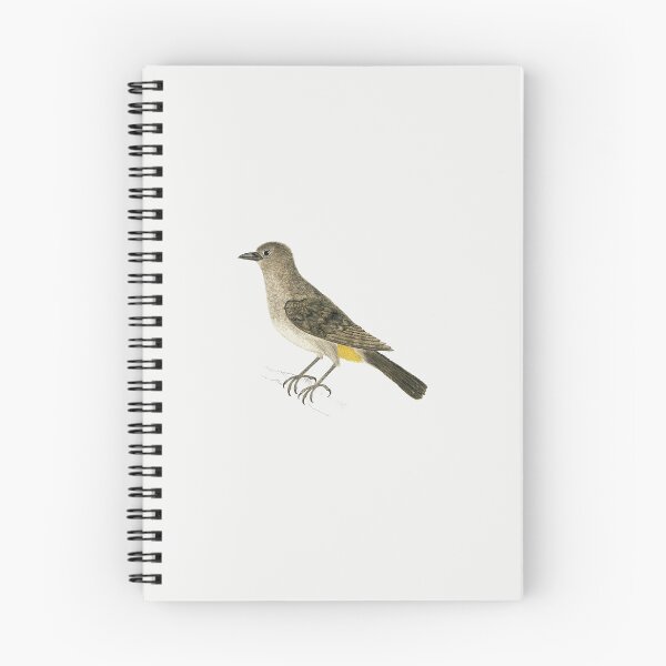 Item preview, Cute Yellow African Bird vintage illustration art designed and sold by Vintage Designs +.