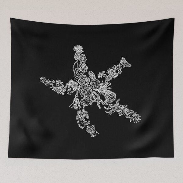 Item preview, Ambulacraria - Echinodermata - White and Black - Starfish - Evolution  designed and sold by EvolutionPoster.