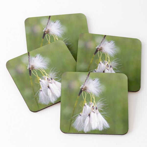 Item preview, Cotton Grass designed and sold by Kasia Design.