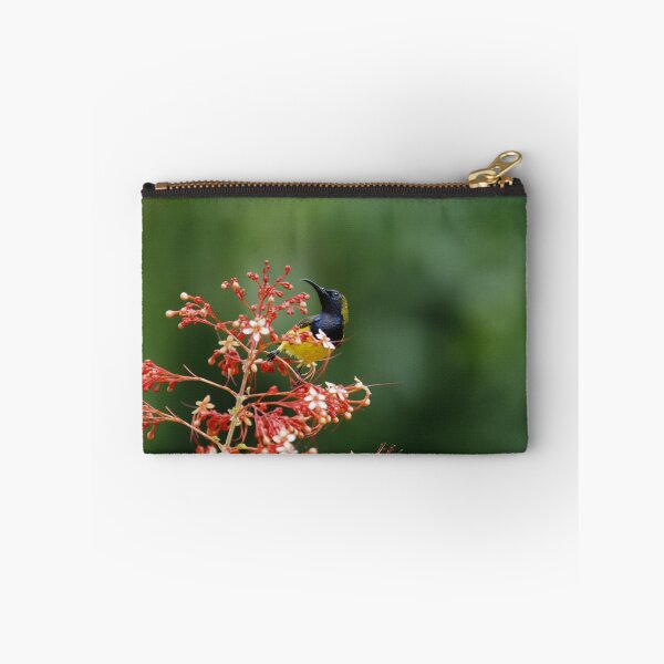 Item preview, Olive-backed Sunbird designed and sold by Jeremy Weiss.
