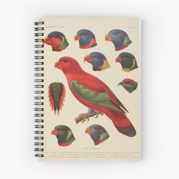 Item preview, Tropical Parrot Scientific Illustration - Zoological Print  designed and sold by InnerCitadel.