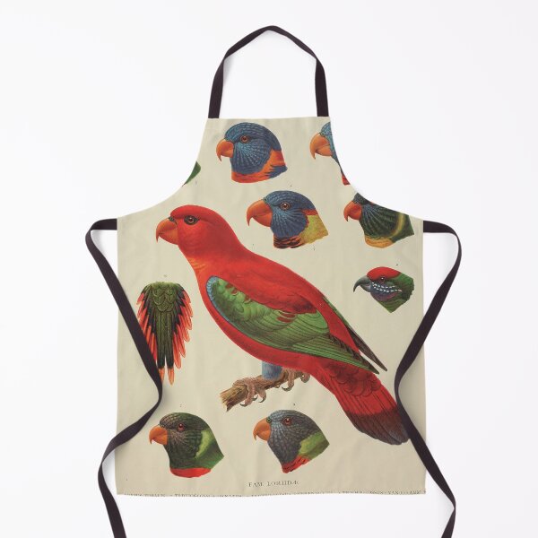Item preview, Tropical Parrot Scientific Illustration - Zoological Print designed and sold by InnerCitadel.