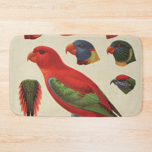 Item preview, Tropical Parrot Scientific Illustration - Zoological Print  designed and sold by InnerCitadel.