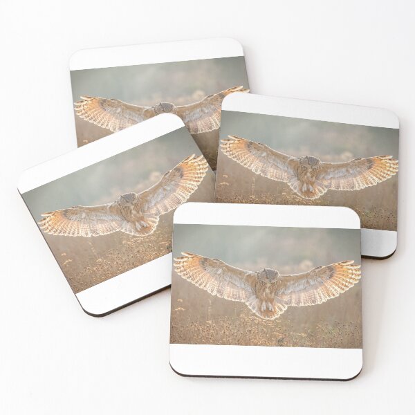 Item preview, Eagle Owl flying over autumn meadow designed and sold by Grang Art Artistic Designs.