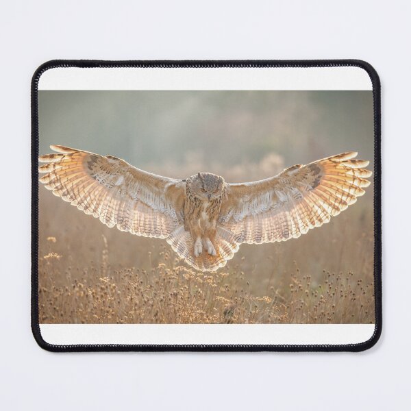 Item preview, Eagle Owl flying over autumn meadow designed and sold by Camel & Quirk.