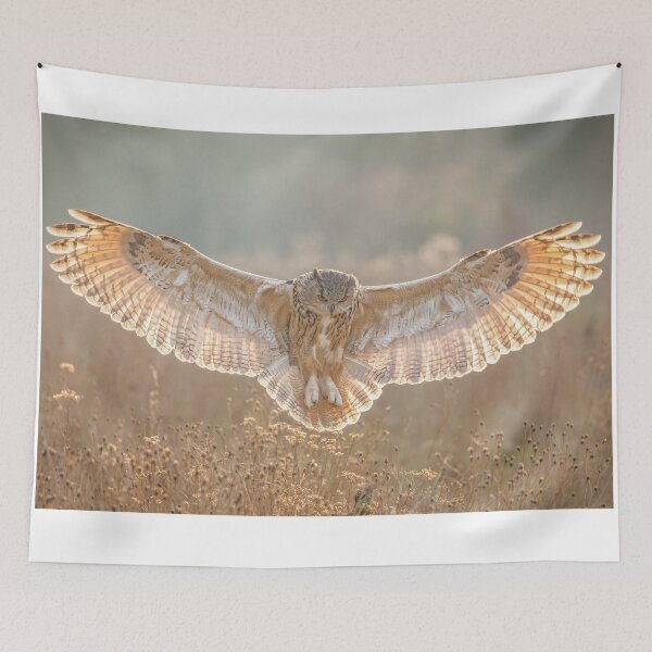 Item preview, Eagle Owl flying over autumn meadow designed and sold by Grang Art Artistic Designs.