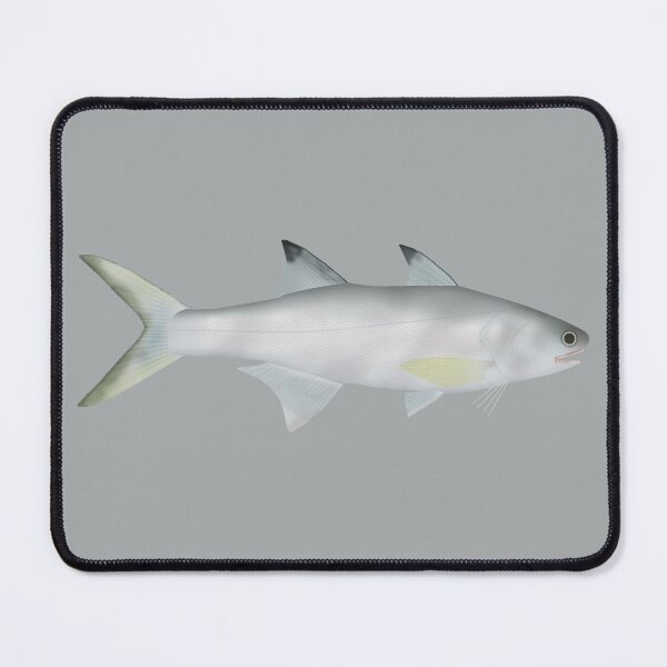 Item preview, Fourfinger Threadfin designed and sold by fishfolkart.