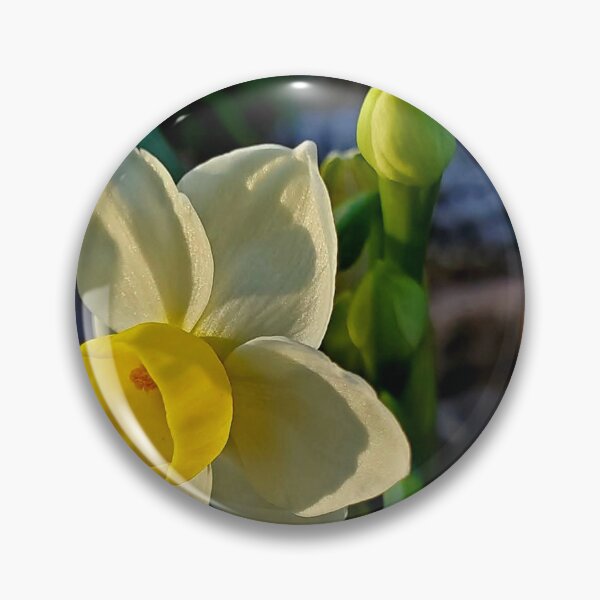 Item preview, Floral - A Daffodil Has Bloomed by Wagonesta  designed and sold by Wagonesta.