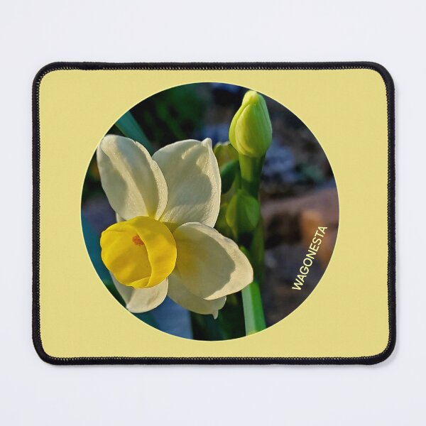 Item preview, Floral - A Daffodil Has Bloomed by Wagonesta designed and sold by Wagonesta.