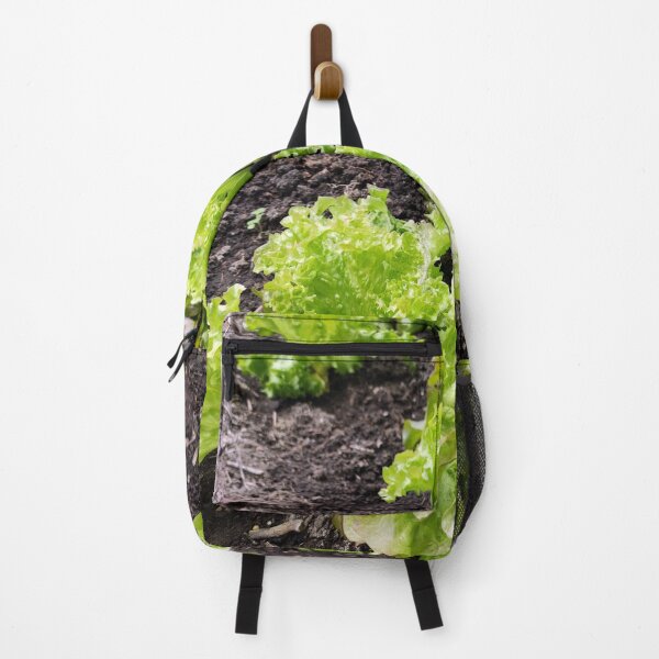 Item preview, lettuce designed and sold by Gourmetkater.