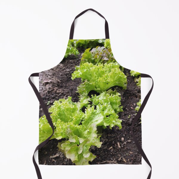 Item preview, lettuce designed and sold by Gourmetkater.