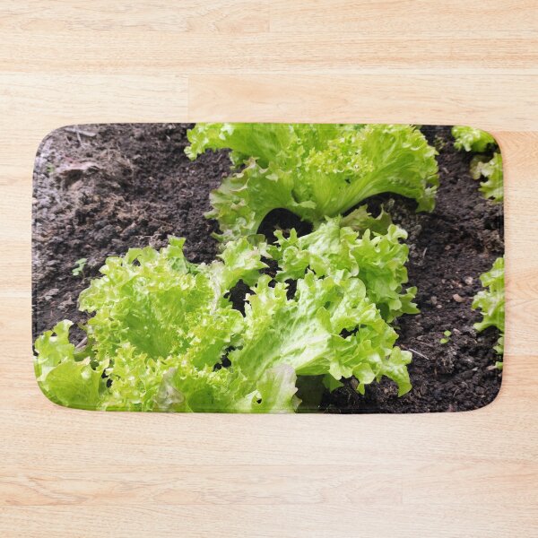 Item preview, lettuce designed and sold by Gourmetkater.