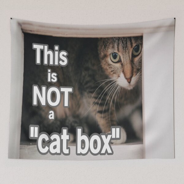 Item preview, This Is Not A Cat Box designed and sold by Surreallytee.
