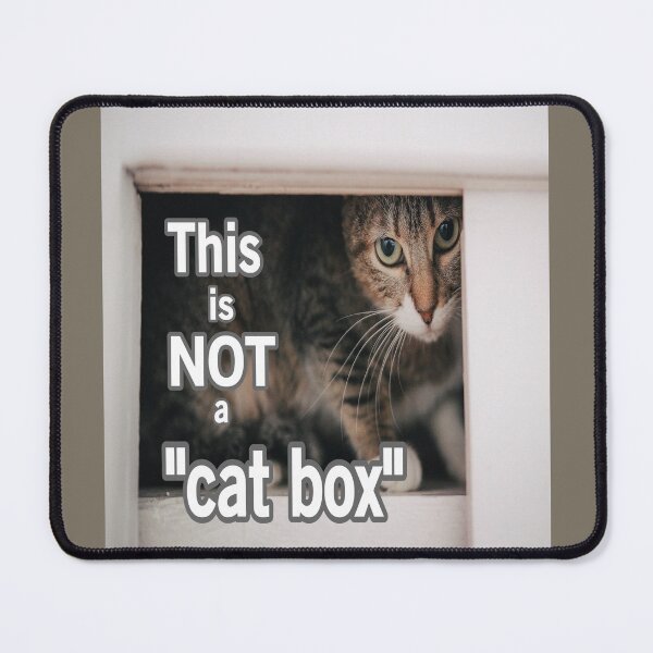 Item preview, This Is Not A Cat Box designed and sold by Surreallytee.