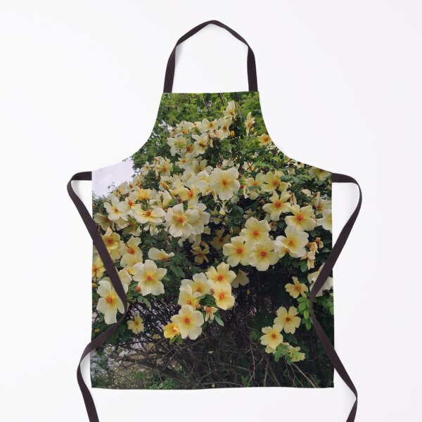 Item preview, rose splendor designed and sold by Gourmetkater.