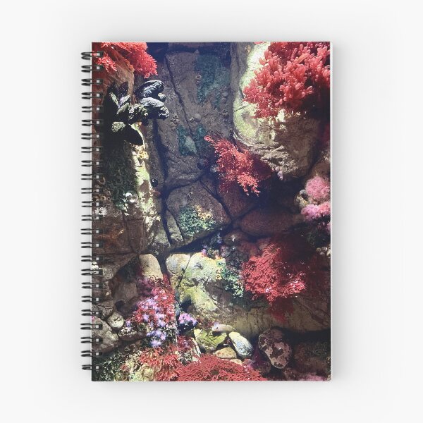 Item preview, The Colourful Undersea World designed and sold by Chriscolibaba.