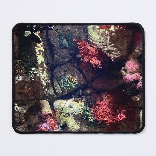 Item preview, The Colourful Undersea World designed and sold by Chriscolibaba.
