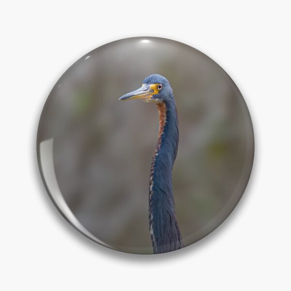 Item preview, Tricolored Heron designed and sold by James Cumming.