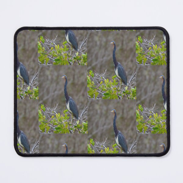 Item preview, Tricolored Heron designed and sold by James Cumming.