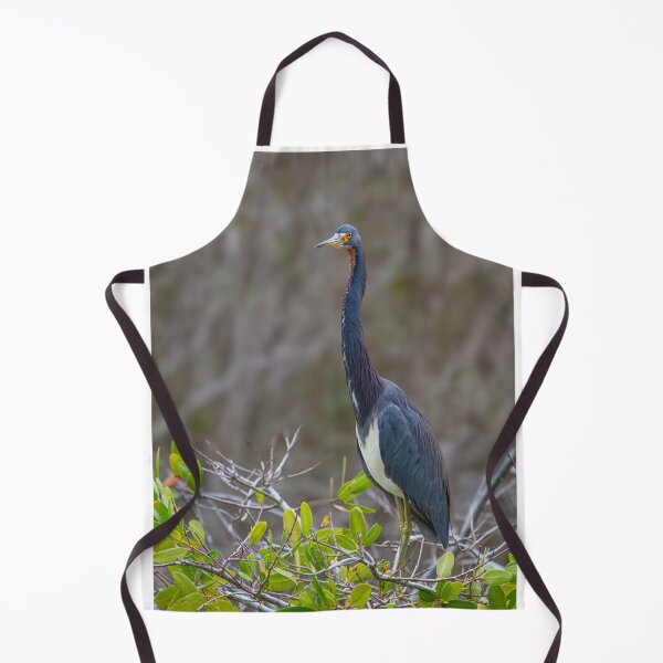 Item preview, Tricolored Heron designed and sold by James Cumming.