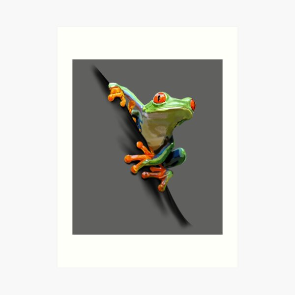 frog Art Print