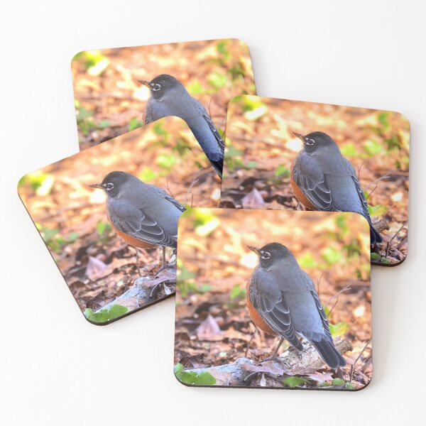Item preview, Robin designed and sold by Parks and X.