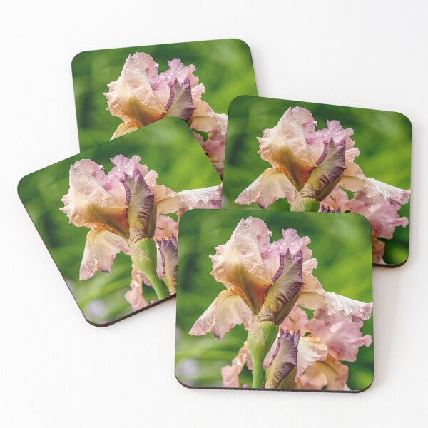 Item preview, Persian Berry Iris designed and sold by Michael Cummings.