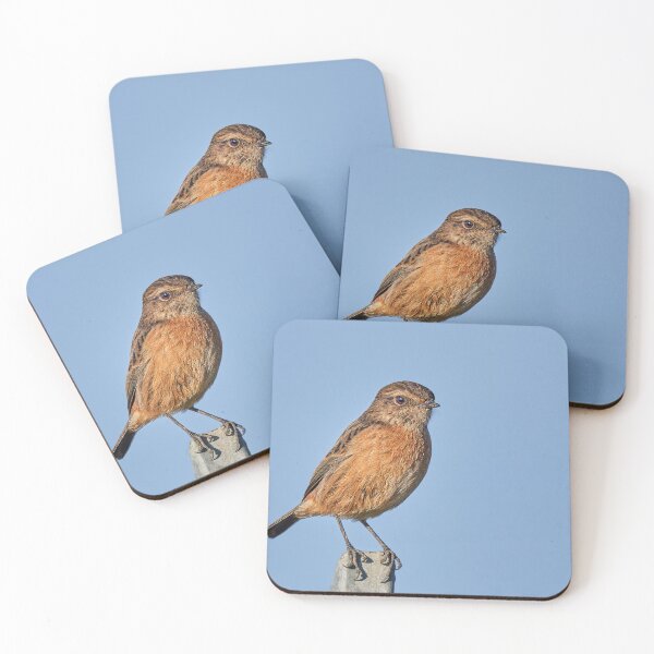 Item preview, The Black Redstart designed and sold by Tom McPherson Photography.