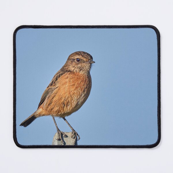Item preview, The Black Redstart designed and sold by Tom McPherson Photography.