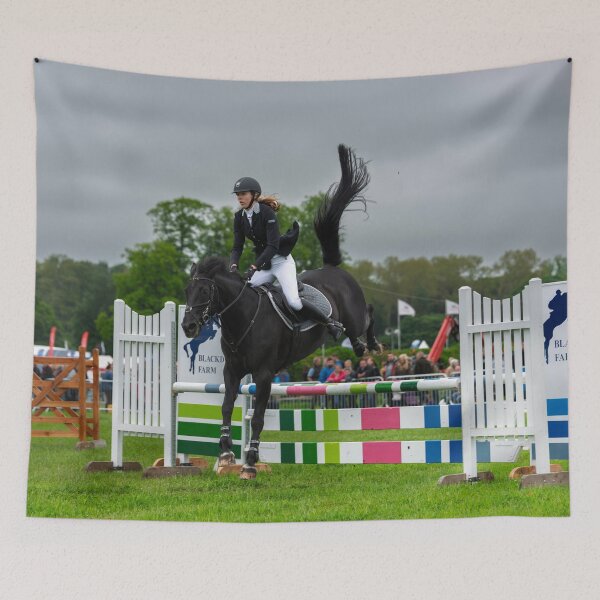 Item preview, Equestrian Show Jumping at Bywell Hall County Show designed and sold by David Patterson.