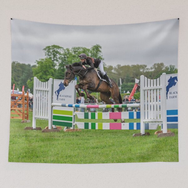 Item preview, Up and Over: Show Jumping at Bywell Hall County Show designed and sold by David Patterson.