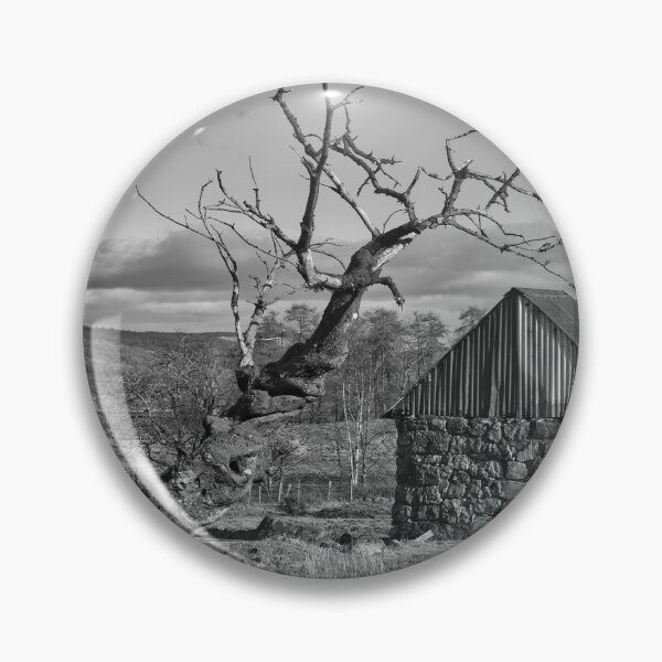 Item preview, The Twisted Tree .Ardnamurchan .Scotland  designed and sold by Derren Jones.