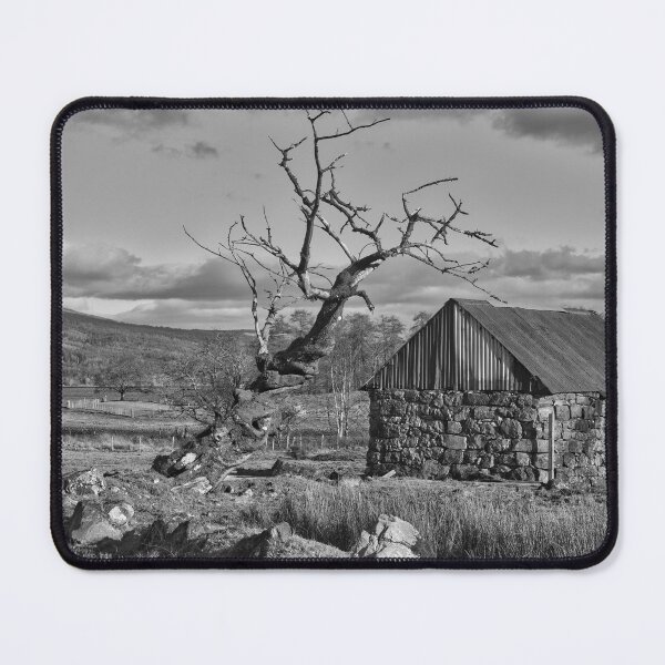 Item preview, The Twisted Tree .Ardnamurchan .Scotland designed and sold by Derren Jones.