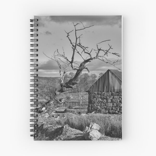 Item preview, The Twisted Tree .Ardnamurchan .Scotland  designed and sold by Derren Jones.