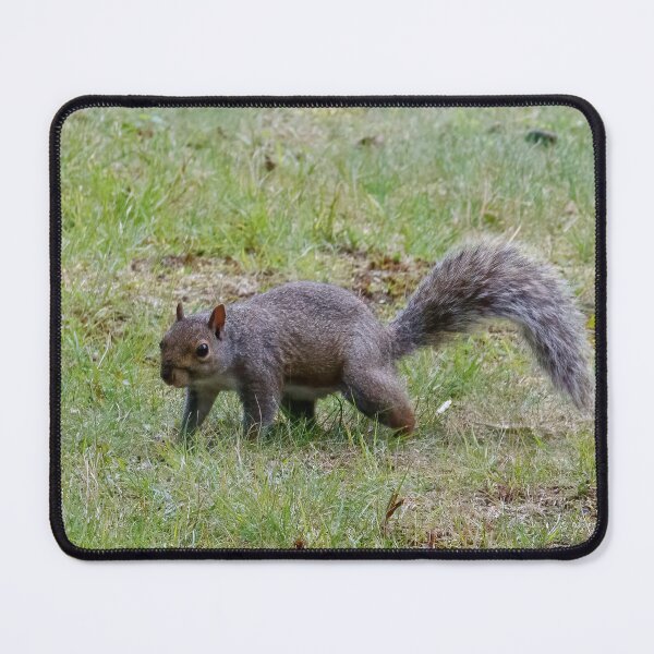Item preview, On the Prowl designed and sold by Tim Dusenberry.
