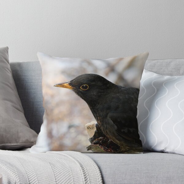 Item preview, Profile photo. Common blackbird designed and sold by Jouko Lehto Photography.