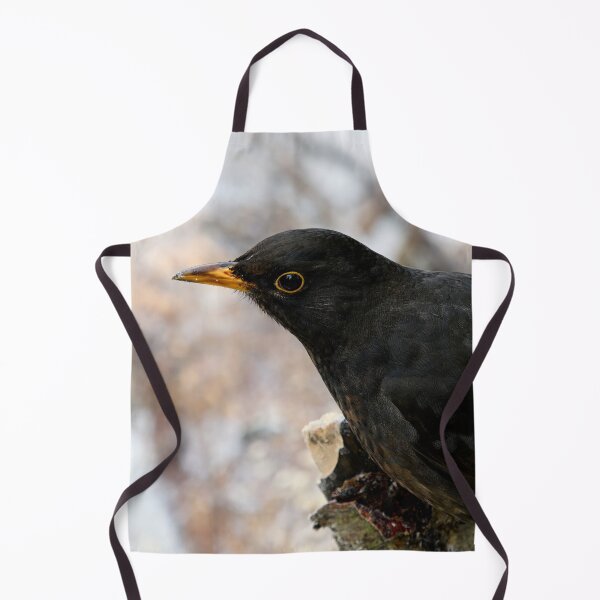 Item preview, Profile photo. Common blackbird designed and sold by Jouko Lehto Photography.