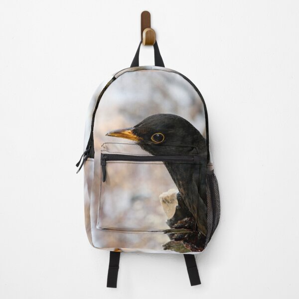 Item preview, Profile photo. Common blackbird designed and sold by Jouko Lehto Photography.