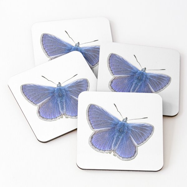 Item preview, Close-Up of a Blue Butterfly, Without Background designed and sold by David Patterson.