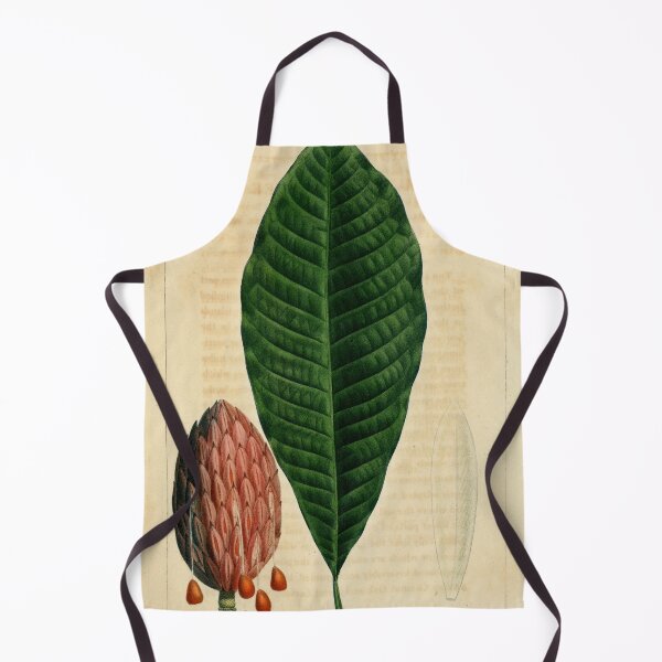 Item preview, Vintage Illustration of a Umbrella Magnolia designed and sold by botanicalworks.